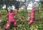 Gerak Cepat Sat Samapta Polresta Mataram Evakuasi Pohon Tumbang di Dua Titik Kota Mataram