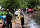 Sigap Tangani Pohon Tumbang, Polsek Mataram Bersama BPBD Urai Kemacetan di Jalan Sriwijaya