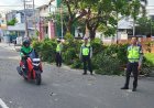 Respons Cepat Polisi Urai Kemacetan Akibat Pohon Tumbang di Jalan Sriwijaya