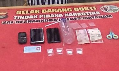 Bawa Empat Klip Sabu, Pria Dasan Agung Diciduk Polisi Dini Hari